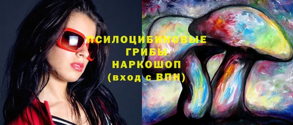 дурь Михайловка