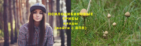 ALPHA-PVP Михайлов