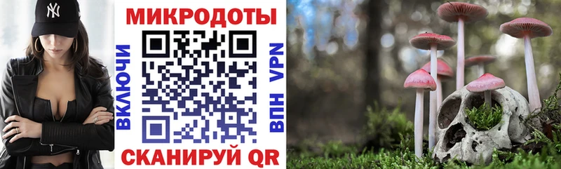 Псилоцибиновые грибы GOLDEN TEACHER  Купить закладки  Минеральные Воды 